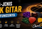 Jenis-Jenis Pick Gitar dan Fungsinya