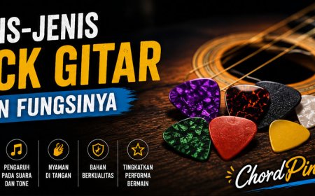 Jenis-Jenis Pick Gitar dan Fungsinya